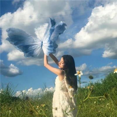 蒙大拿故事